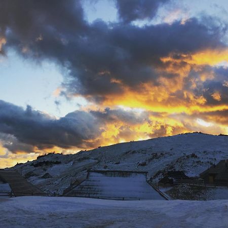 Chalet Gasparjeva Velika Planina Kamnik Exteriör bild